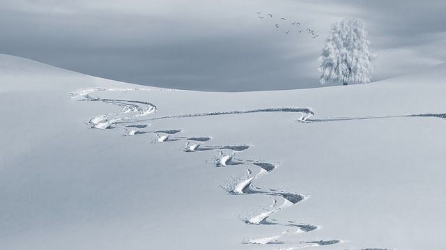 witbalans, automatische witbalans, handmatig witbalans, kleurtemperatuur