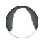 afbeelding van sylviak
