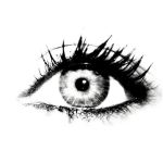 afbeelding van Visual Verve