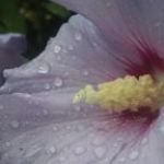 afbeelding van Emailvanmiranda_86350