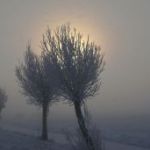 afbeelding van luukaalbrecht_96352