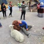 afbeelding van judid_it_107524