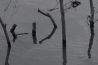 Joop Overkleeft geïnspireerd door water