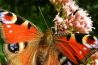 Camera-instellingen: de grootste fout van beginnende fotografen