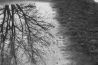 Reflectie: interessante foto-onderwerpen