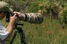 Kanshebbers: Wildlife Photographer of the Year Awards 2016
