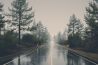 Fotograferen in de regen? 3 tips