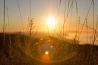 Lens flare op je foto’s. Hoe?
