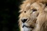  5 redenen: natuurfotografen zijn (te) gek
