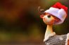De kerstdagen doorkomen als fotograaf
