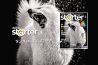 Nu in de winkel: digifoto Starter 1.2019