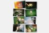 Yashica onthuld nieuwe analoge producten via Kickstarter