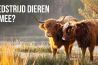 Stuur je mooiste dierenfoto in en maak kans op prachtige prijzen bij Fotografille