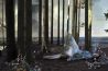Museum Flehite presenteert 'Ander Licht op Withoos'
