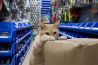 Het geheime leven van katten in Hong Kong