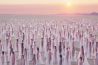 Expositie: kolossale naaktfotografie en menselijke installaties van Spencer Tunick