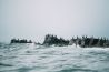 Surfen in ijswater met de Nikon Z7