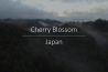 Drone timelapse: Japans landschap met kersenbloesems