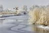 Foto van de maand: Nordwin Alberts