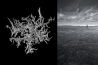 Uitslag fotowedstrijd 'Winter Wonderland'