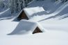 sneeuw op digifoto Starter