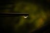 Macro: de magie van een enkele druppel