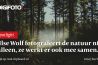 In de spotlight Ilse Wolf 