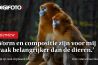 Natuurfotograaf worden: het pad van Marsel