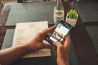 De top 10 meest ingecheckte Nederlandse locaties op Instagram