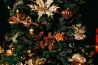 Kerstbomen fotograferen doe je zo!
