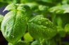 Handige hulpmiddelen voor foodphotography