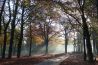 Prachtige timelapse van de Veluwe
