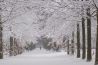 Ingezonden winterfoto’s
