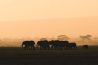 Prachtige foto's uit Afrika door Stian Klo