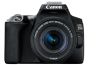 Review: Canon 250D