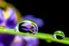 Macrofotografie zonder macro objectief?