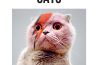 Weekwinnaarsprijs: Insta Grammar Cats – Irene Schampaert