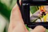 Exposities Oud en Nieuw Apeldoorn en workshops in jubileumjaar fotoclub AFV de Veluwe