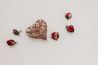 Last minute valentijnscadeau tips voor fotografie lovers