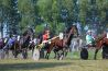 Tips voor de beste foto’s bij paardenevenementen