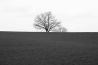 Fotografie serie maken: 5 stappen als beginner