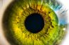 Close-up: ogen fotograferen