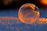Winter wonderland: met of zonder sneeuw