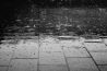 Tips en trucs voor mooie regen foto's