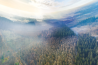 Nederlandse natuur in 360° in Museon-Omniversum