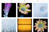 Kleurrijke bloemen door Craig Burrows