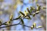 Spotlight: Spring is in the air!!