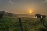 #MijnNatuurBlijft: mooiste natuurfoto's tegen de kabinetsplannen