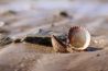 digifoto Starter lezersfoto: Nicole van As over fotograferen met Lensbaby