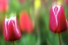 Hoe voorkomen je deze 5 fotografiefouten?